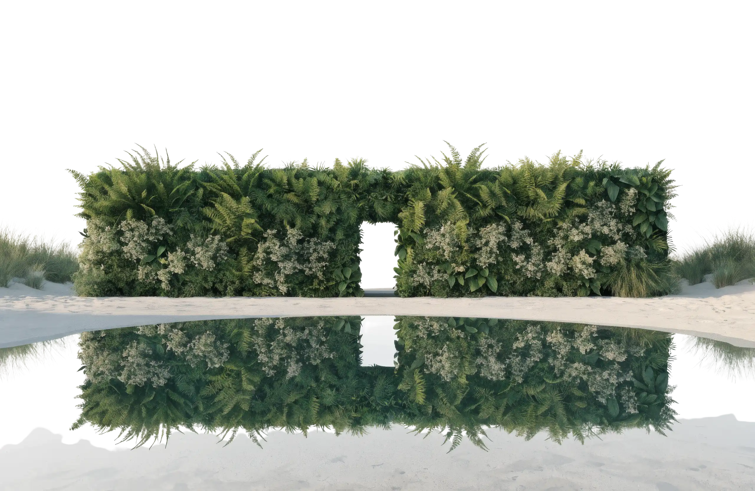 Designová zelená stěna Oasis Wall