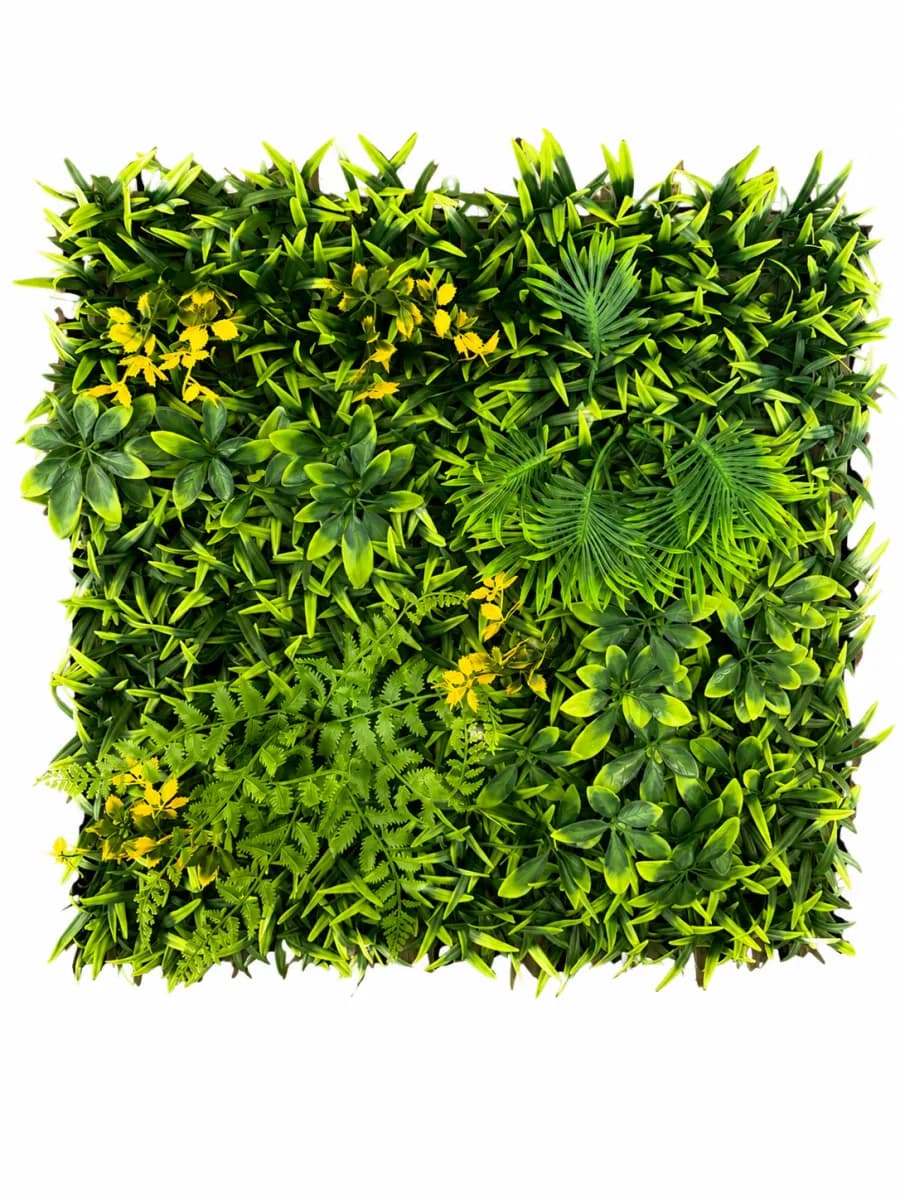 FERN MEADOW